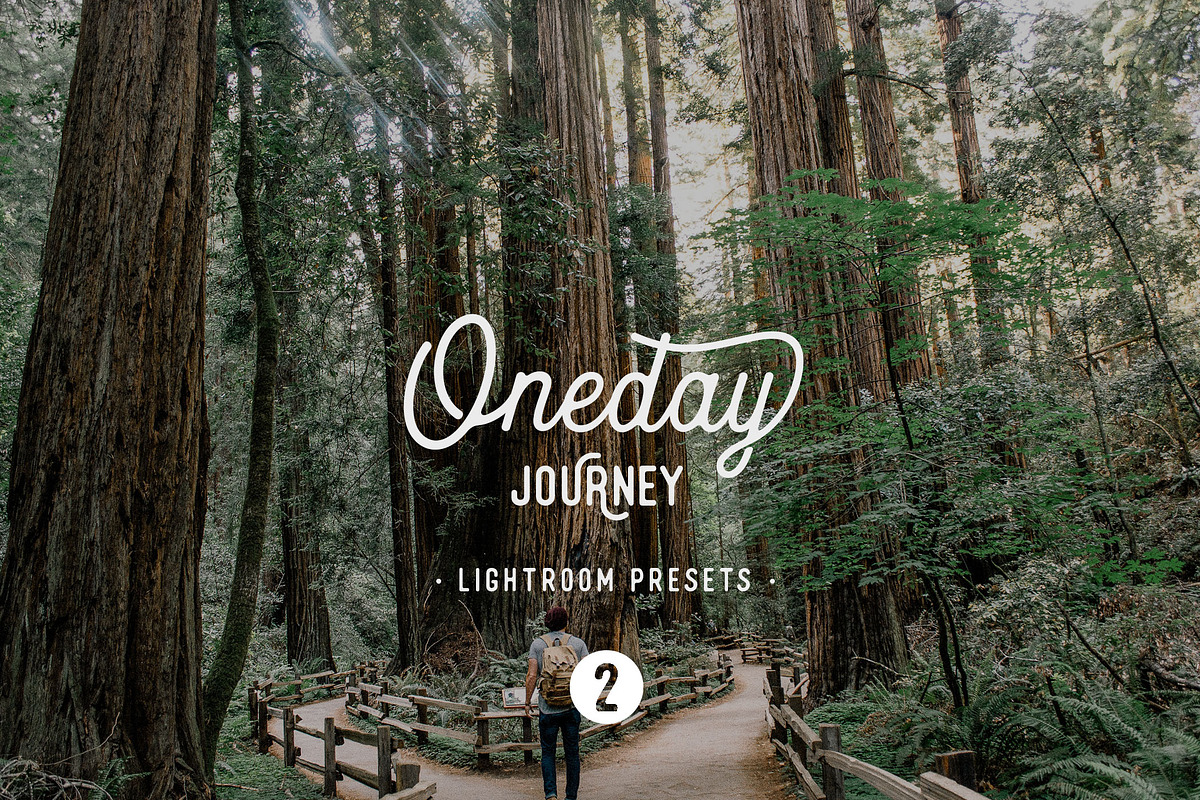 Oneday : Journey 2 Lightroom presets