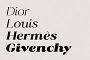 Radiant Charisma - Serif Family, a Serif Font by Prioritype Co (Thumbnail 3 of 10)