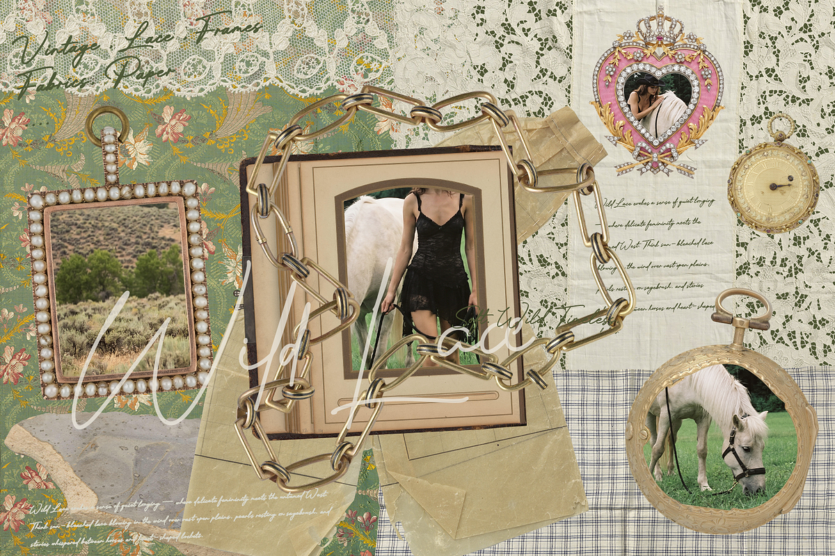 260+ Wild Lace. Soft. Wild. Timeless, an Object Graphic by Lilithcollageart (Photo 3 of 11)