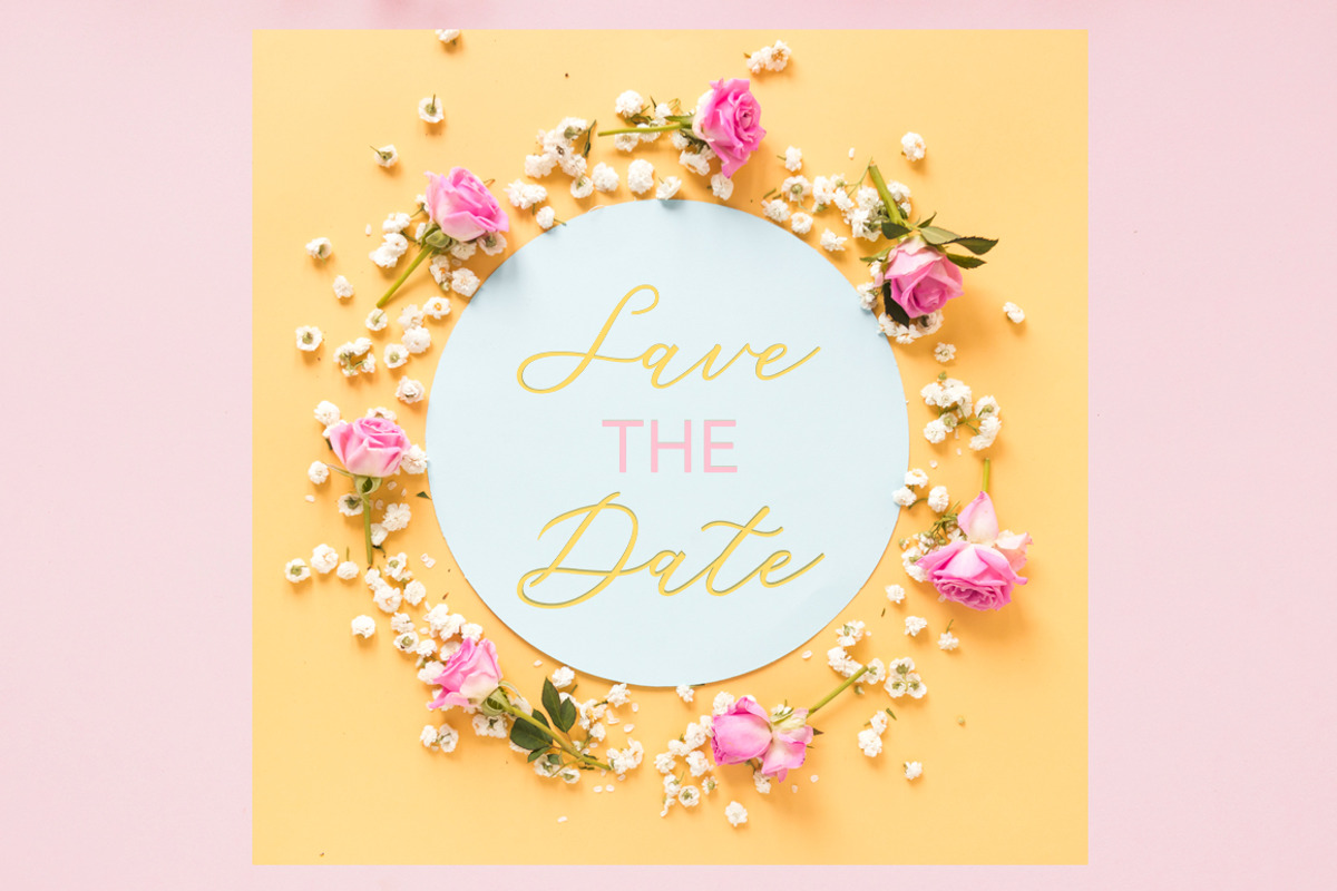 Ladies Style, a Script Font by balstudio (Photo 4 of 8)