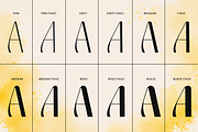 Galvero – Decorative Family Font, a Sans Serif Font by Say Studio (Thumbnail 3 of 9)