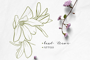 Magnolia Floral Design Pack, a Texture Illustration by JuDesign (Thumbnail 4 of 16)