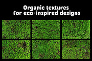 Natural Green Moss Texture Backgroun, a Background Graphic by Pitchlook.Studio (Thumbnail 3 of 3)