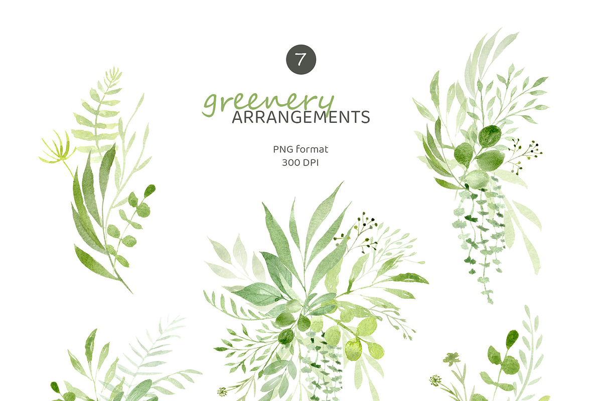Greenery Watercolor Collection, a Decorative Illustration by Liliia Polos Illustration (Photo 3 of 10)