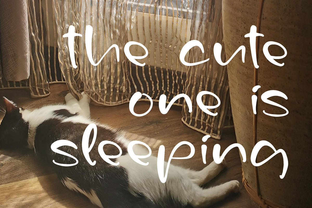 Felixstar, a Handwritten Font by Integritype Studio (Photo 11 of 15)