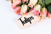 Brighton | Script Font, a Handwritten Font by Scratchones (Thumbnail 3 of 9)