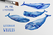 Watercolor Whales & Patterns, an Animal Illustration by ZiziMarket (Thumbnail 1 of 3)