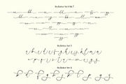 Handsome Lasting Script, a Script Font by moriztype (Thumbnail 9 of 14)