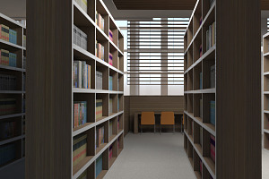 Library Interior