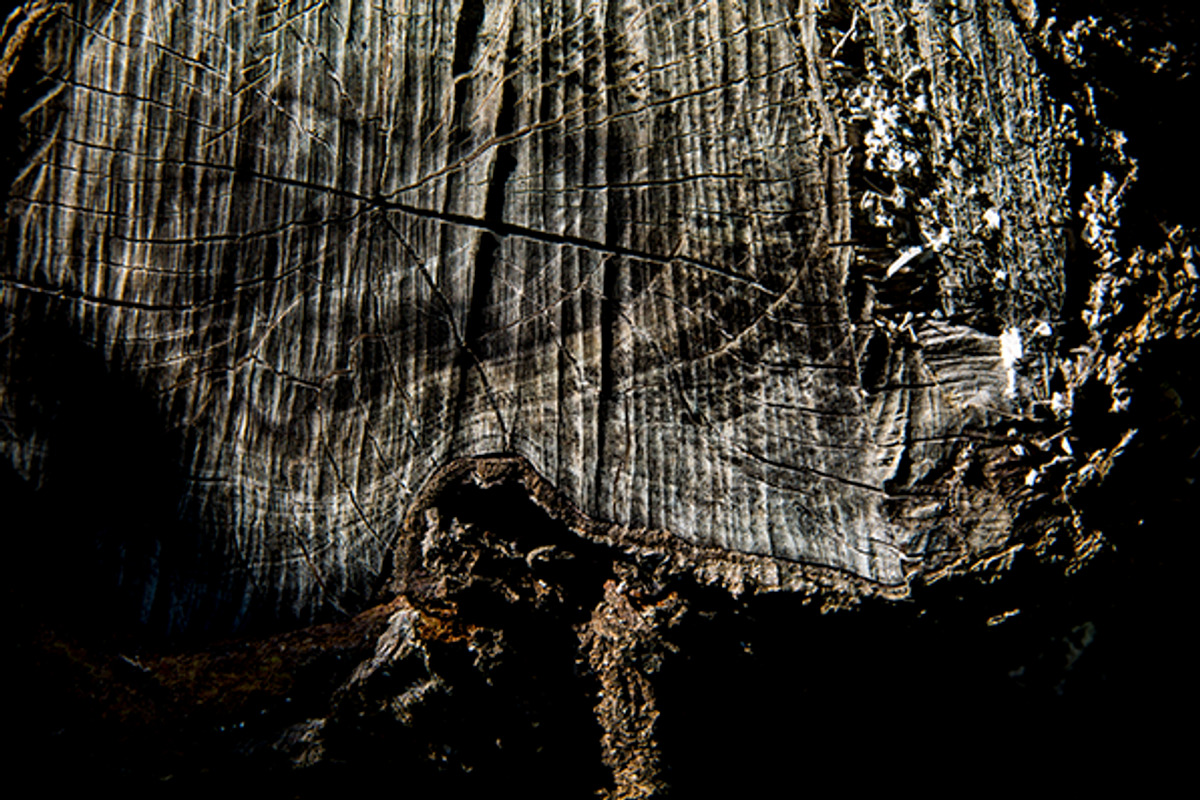 20 High quality wooden texture pack, a Background Graphic by 2MK (Photo 4 of 5)