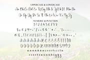 Beauty Highland | Script Font, a Handwritten Font by Scratchones (Thumbnail 7 of 8)