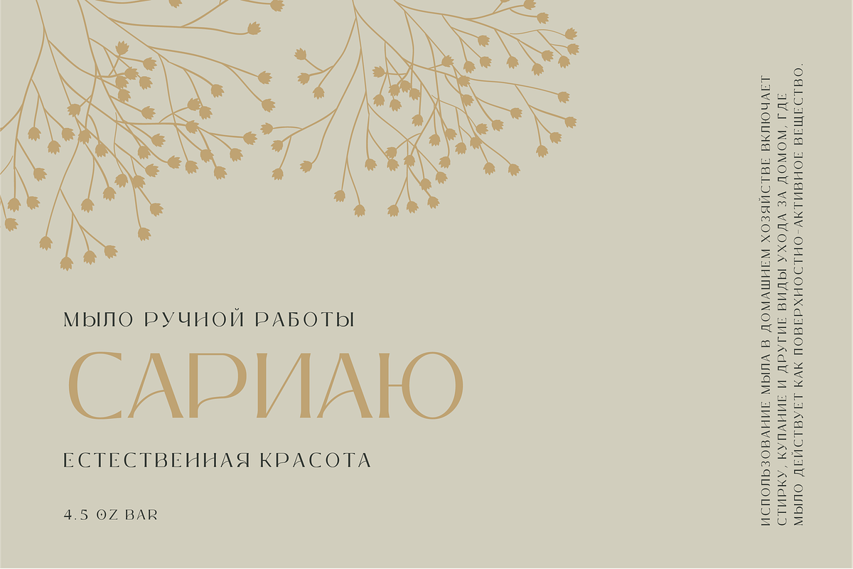 Leotaro - Serif Latin and Cyrillic, a Serif Font by AuthenType (Photo 2 of 12)