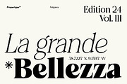 Felgiora, a Serif Font by Propertype (Thumbnail 2 of 16)