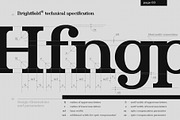 Brightfield Serif Font, a Serif Font by Cyritron (Thumbnail 5 of 12)