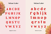Dream Letter, Serif Font, a Serif Font by Motokiwo (Thumbnail 5 of 10)