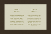 ARTICLE, a Sans Serif Font by MEG BURK CHOI (Thumbnail 3 of 4)