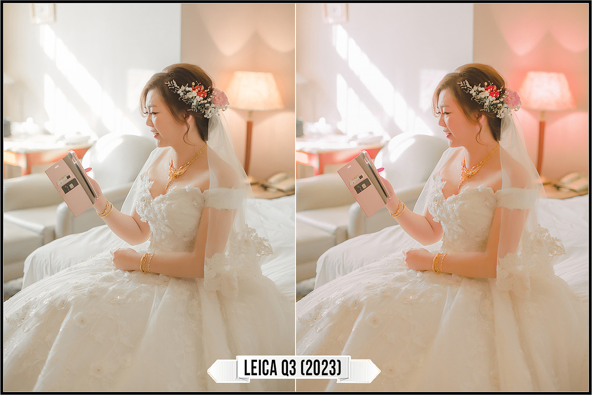 Leica Colors & Sensor Luminance, a Plug-in Add-On by Raztrend (Photo 4 of 29)