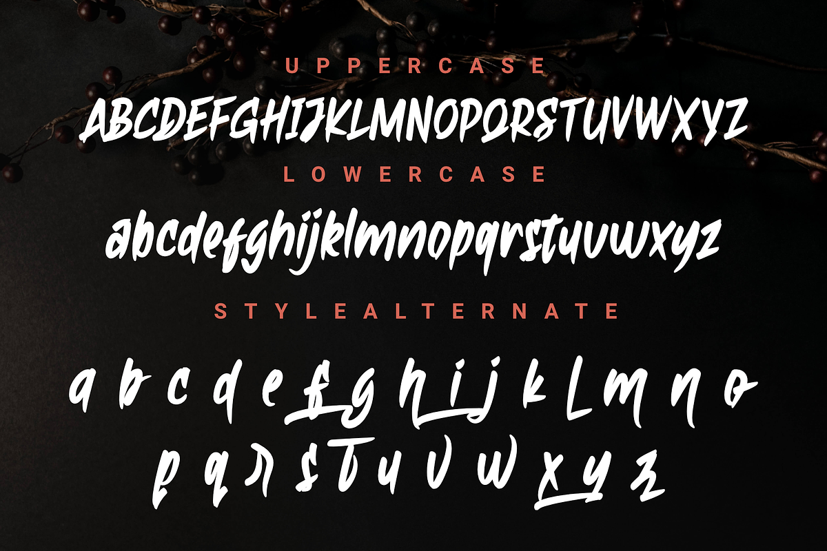 Ambiguous, a Font by Dumadistyle (Photo 2 of 12)