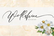 Wollshine, a Script Font by yanindesign (Thumbnail 1 of 10)