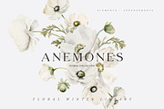 FLORAL WINTER BOX Watercolor Bundle, a Seasonal Illustration by Muse Artist (Thumbnail 89 of 95)