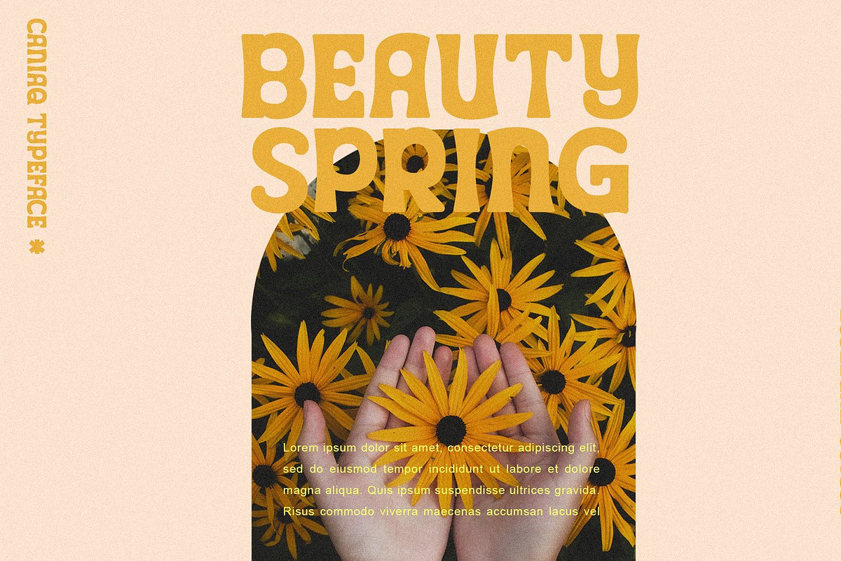 Migra - Retro Serif Font, a Serif Font by Luna Shop (Photo 5 of 10)