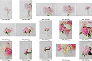 Peony Perfection Styled Stock, a Nature Photo by Susie Design Co (Thumbnail 2 of 3)