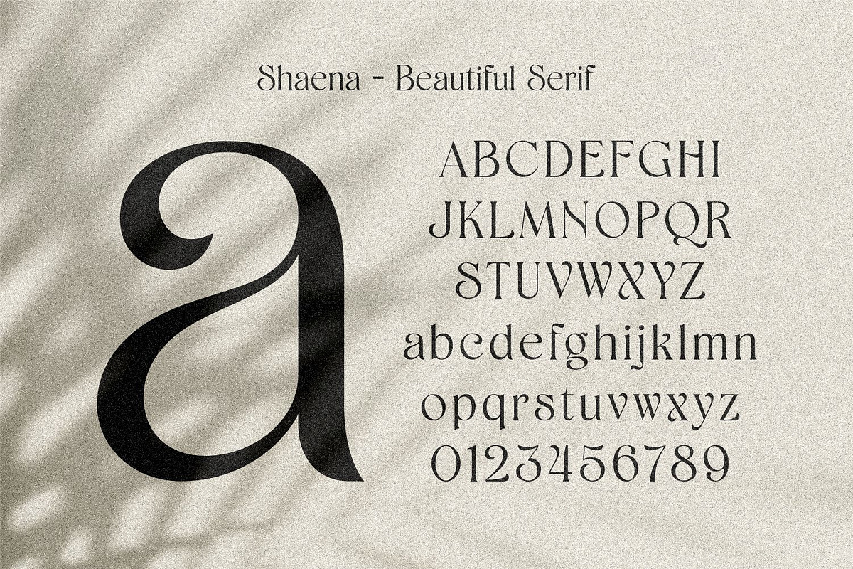 Shaena - Beautiful Serif, a Serif Font by Asenbayu (Photo 3 of 14)