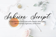 Sakura Script, a Script Font by Lettering by Melody (Thumbnail 1 of 4)