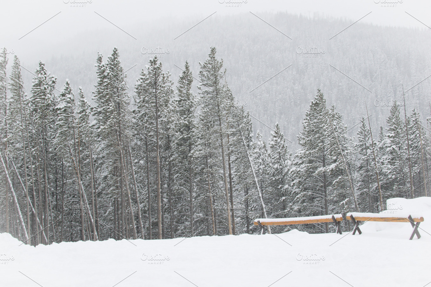 Log Benches atop a Snowy Mountain, a Nature Photo by Suzo Images