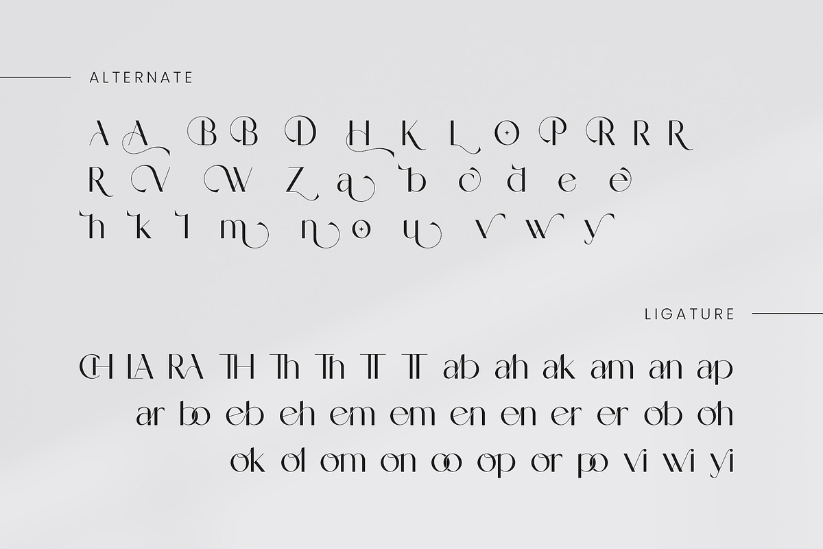 Vionie Sans Serif Font, a Sans Serif Font by Ermedia Studio (Photo 11 of 12)