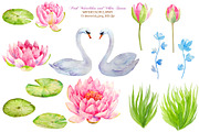 Wedding Clipart Waterlily and Swans, an Illustration by Corner Croft (Thumbnail 2 of 3)