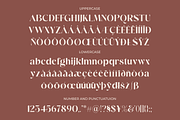 Mango Vintage Free Signature Font, a Sans Serif Font by zeenesia (Thumbnail 14 of 16)