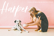 The Trendy Font BUNDLE, a Script Font by KA Designs (Thumbnail 81 of 86)