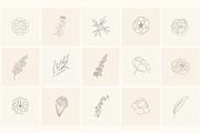 Hand Drawn Floral Elements. Frames, a Seasonal Illustration by Designwork (Thumbnail 2 of 22)