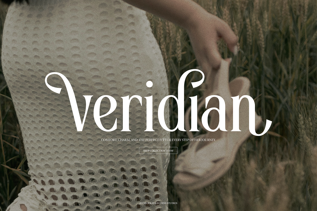 Elynior Katalis Display Elegant Font, a Serif Font by Denustudios (Photo 6 of 15)