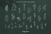 Wildflowers Line Art Botanicals, an Illustration by LifestyleCraftCo (Thumbnail 3 of 6)
