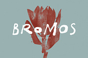 Bromos, a Handwritten Font by vuuuds (Thumbnail 1 of 13)