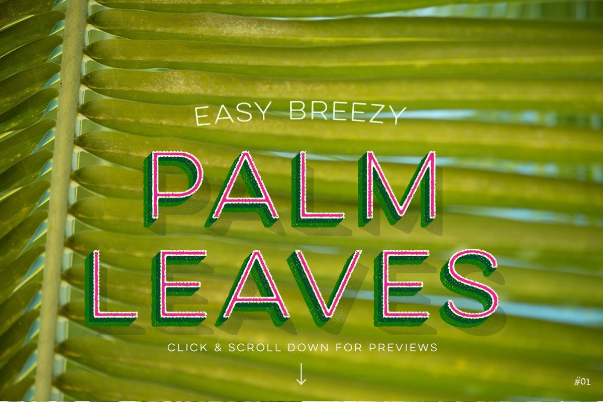 Photo Suite: Palm Leaves preview 4