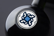 Health Center Abstract Logo Template, a Branding & Logo Template by Raj Shop (Thumbnail 1 of 4)