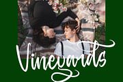 Baghera Thenetta Modern Handwritten, a Script Font by stylishtype.co (Thumbnail 7 of 20)
