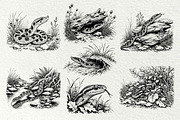 Snake Illustration Set, an Animal Illustration by DENIDigitalArtSudio (Thumbnail 2 of 8)