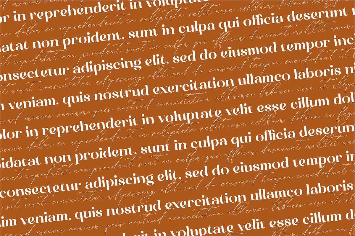 Hacburk Matrositia Modern Font Duo, a Serif Font by Storytype Studio (Photo 3 of 15)