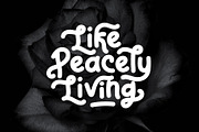 Reaf Singer Playful Font, a Script Font by Dicubit (Thumbnail 4 of 9)