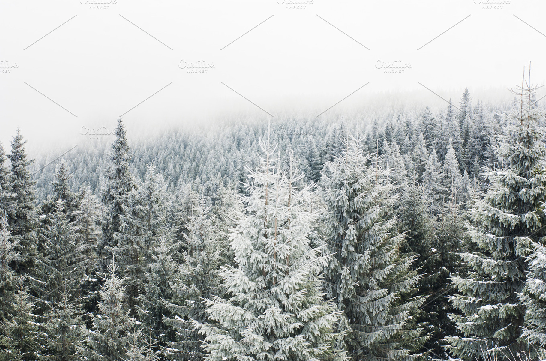 Snowy landscape stock photo containing winter and background, a Nature Photo by Inna Vinchenko Designs