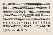 Neoka - Sans Serif Display, a Sans Serif Font by Typetemp Studio (Thumbnail 17 of 17)