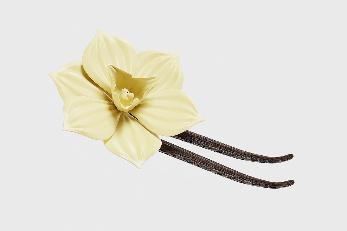 Vanilla flower, an Object 3D Model by fahad121 (Photo 2 of 5)