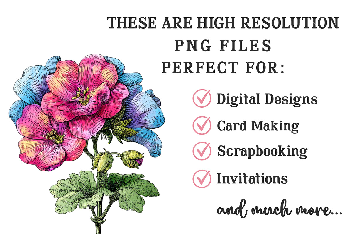 Whimsical Spring Wildflower Clipart, an Illustration by OK Design (Photo 4 of 6)