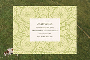 Vintage Floral Frames & Overlays, an Object Graphic by alonahaidash (Thumbnail 13 of 19)