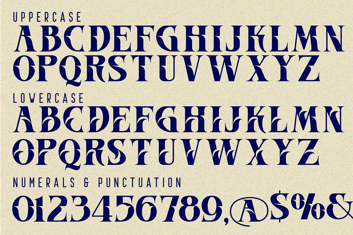 Record Themes - Elegant Font, a Serif Font by 177Studio (Photo 7 of 8)