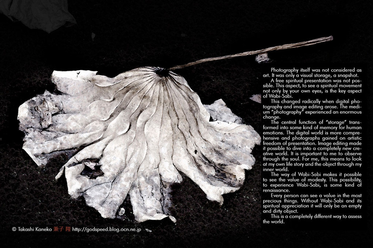 Wabi-Sabi Bundle: eBook & LR Presets, a Plug-in Add-On by Jana Mänz Photography (Photo 4 of 5)